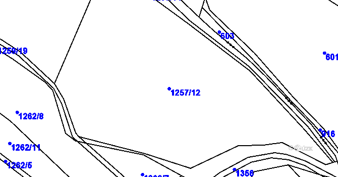 Parcela st. 1257/12 v KÚ Pořešice, Katastrální mapa
