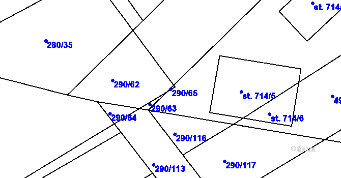 Parcela st. 290/65 v KÚ Pouchov, Katastrální mapa
