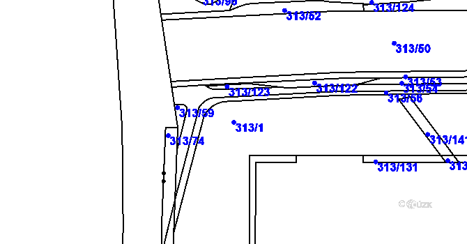 Parcela st. 313/1 v KÚ Věkoše, Katastrální mapa