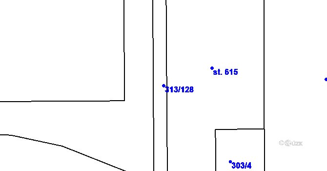 Parcela st. 313/128 v KÚ Věkoše, Katastrální mapa