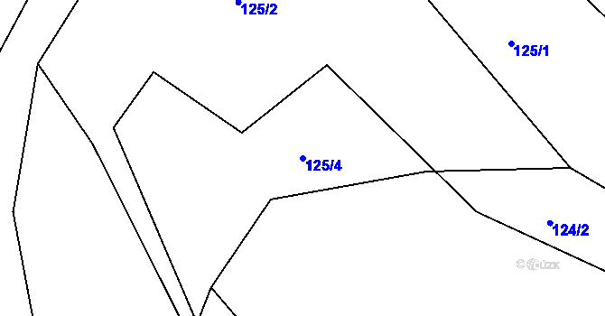 Parcela st. 125/4 v KÚ Mýtinka u Poustky, Katastrální mapa
