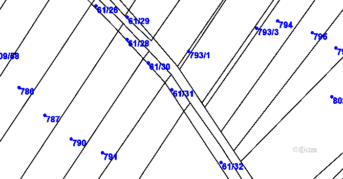 Parcela st. 61/31 v KÚ Prace, Katastrální mapa