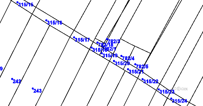 Parcela st. 315/19 v KÚ Prace, Katastrální mapa