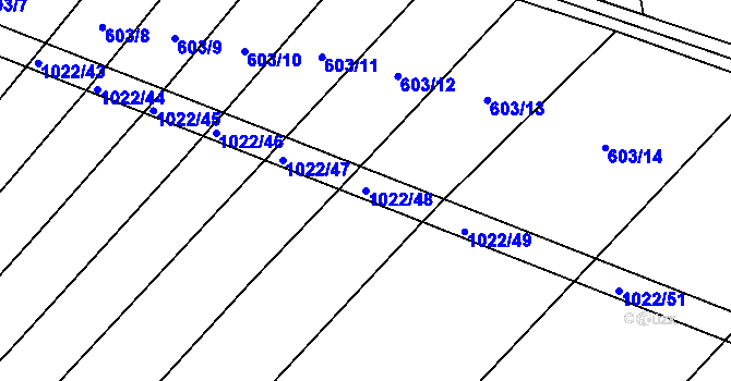 Parcela st. 1022/48 v KÚ Prace, Katastrální mapa