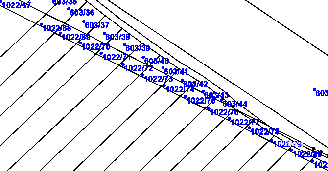 Parcela st. 1022/74 v KÚ Prace, Katastrální mapa