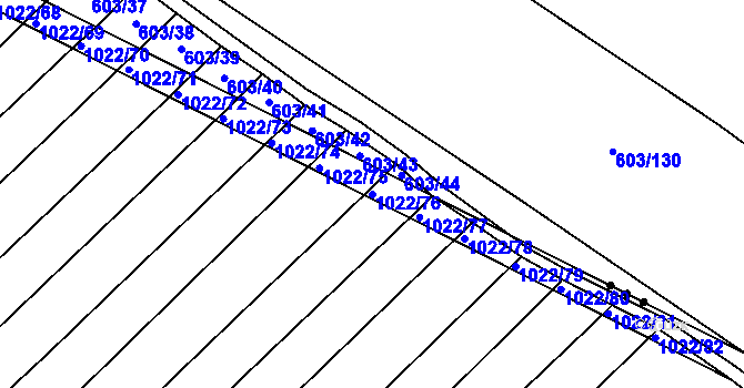 Parcela st. 1022/76 v KÚ Prace, Katastrální mapa