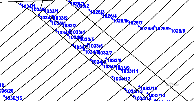 Parcela st. 1033/7 v KÚ Prace, Katastrální mapa