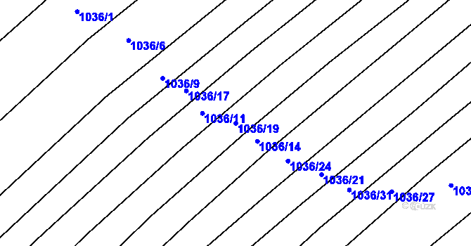 Parcela st. 1036/19 v KÚ Prace, Katastrální mapa