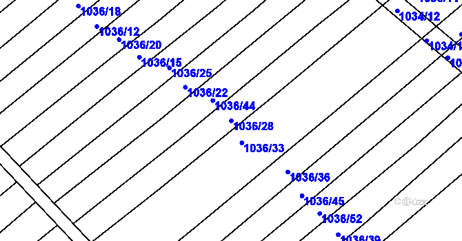 Parcela st. 1036/28 v KÚ Prace, Katastrální mapa