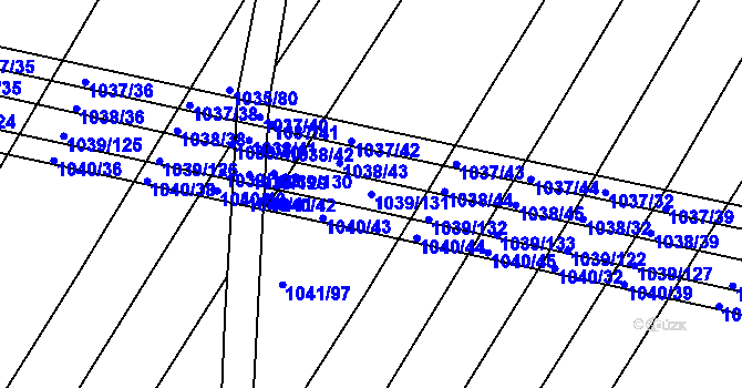 Parcela st. 1039/131 v KÚ Prace, Katastrální mapa