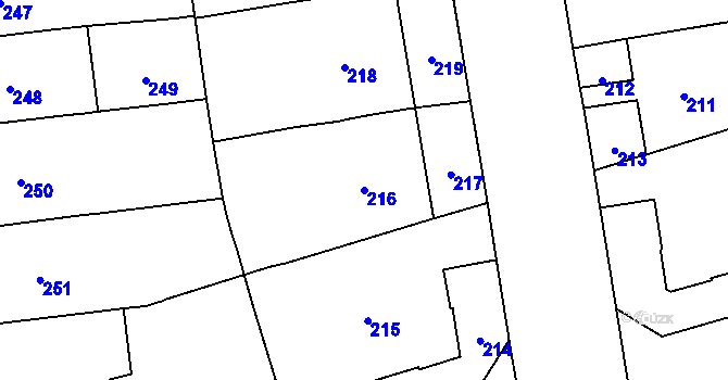 Parcela st. 216 v KÚ Vinohrady, Katastrální mapa