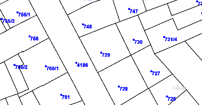 Parcela st. 729 v KÚ Vinohrady, Katastrální mapa