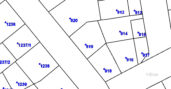 Parcela st. 919 v KÚ Vinohrady, Katastrální mapa
