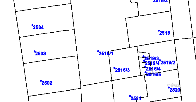Parcela st. 2516/1 v KÚ Vinohrady, Katastrální mapa