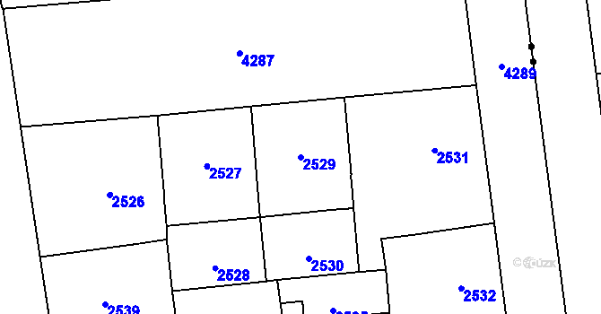 Parcela st. 2529 v KÚ Vinohrady, Katastrální mapa