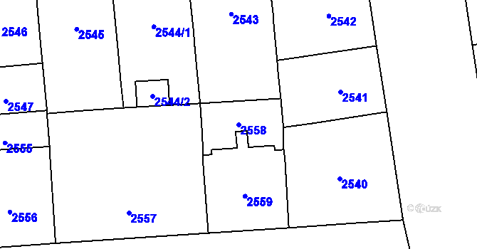 Parcela st. 2558 v KÚ Vinohrady, Katastrální mapa