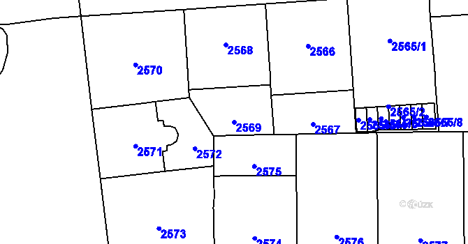 Parcela st. 2569 v KÚ Vinohrady, Katastrální mapa