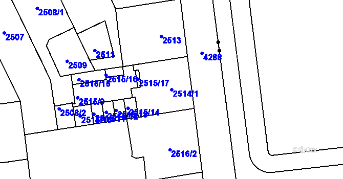 Parcela st. 2514/1 v KÚ Vinohrady, Katastrální mapa