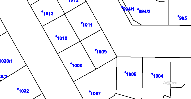 Parcela st. 1009 v KÚ Žižkov, Katastrální mapa