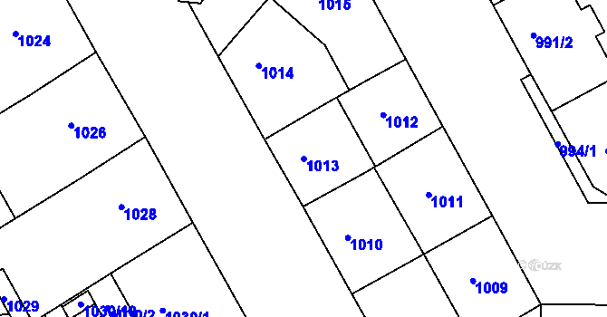 Parcela st. 1013 v KÚ Žižkov, Katastrální mapa