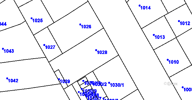 Parcela st. 1028 v KÚ Žižkov, Katastrální mapa