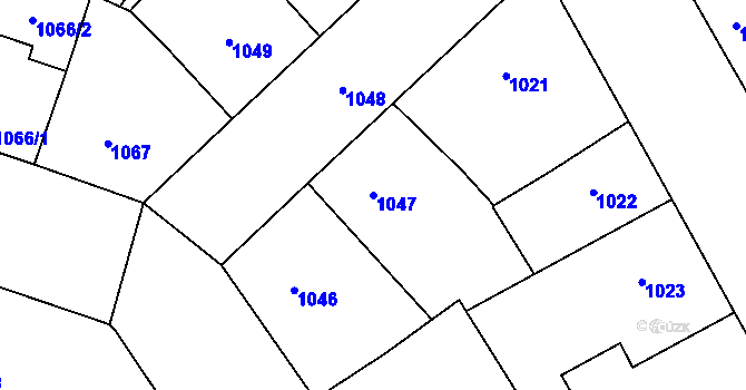 Parcela st. 1047 v KÚ Žižkov, Katastrální mapa