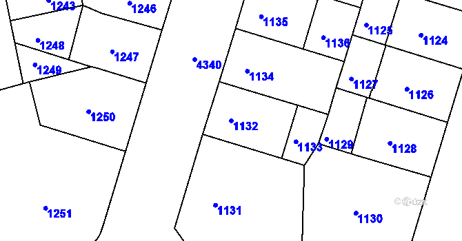 Parcela st. 1132 v KÚ Žižkov, Katastrální mapa