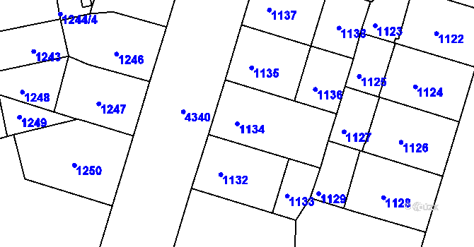 Parcela st. 1134 v KÚ Žižkov, Katastrální mapa