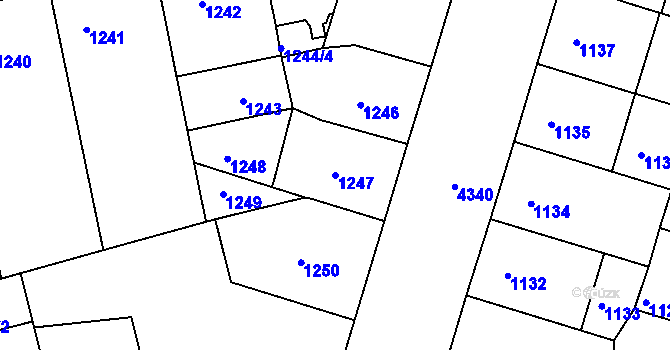 Parcela st. 1247 v KÚ Žižkov, Katastrální mapa