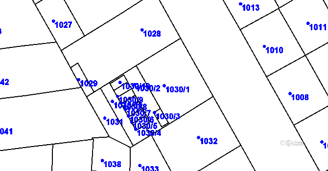 Parcela st. 1030/1 v KÚ Žižkov, Katastrální mapa