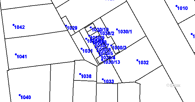 Parcela st. 1030/5 v KÚ Žižkov, Katastrální mapa