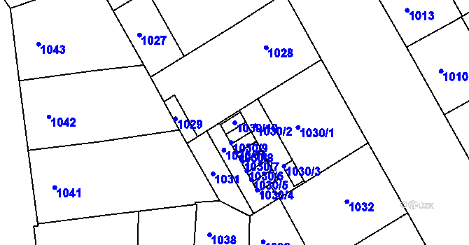 Parcela st. 1030/10 v KÚ Žižkov, Katastrální mapa