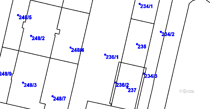Parcela st. 236/1 v KÚ Michle, Katastrální mapa