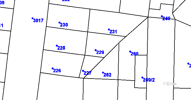 Parcela st. 229 v KÚ Nusle, Katastrální mapa