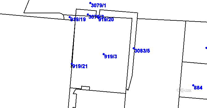 Parcela st. 919/3 v KÚ Nusle, Katastrální mapa