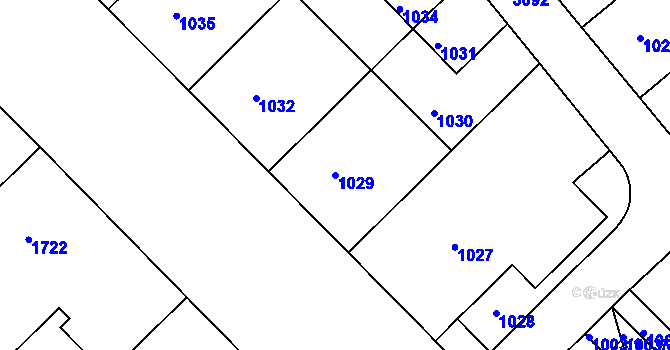 Parcela st. 1029 v KÚ Nusle, Katastrální mapa
