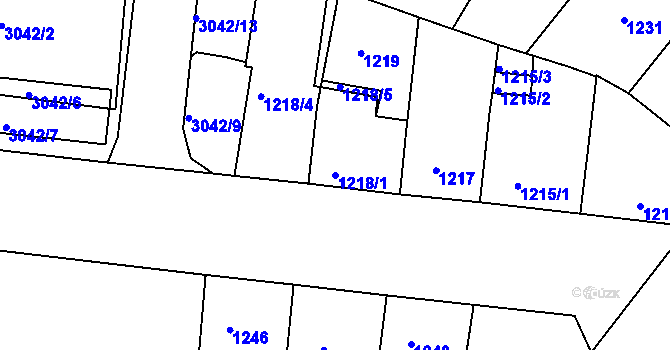 Parcela st. 1218/1 v KÚ Nusle, Katastrální mapa