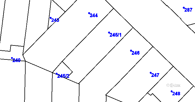 Parcela st. 245/4 v KÚ Nusle, Katastrální mapa