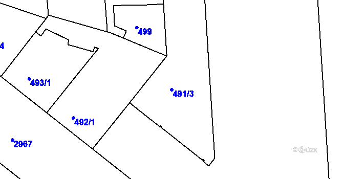 Parcela st. 491/3 v KÚ Nusle, Katastrální mapa
