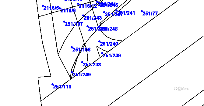 Parcela st. 251/239 v KÚ Chodov, Katastrální mapa