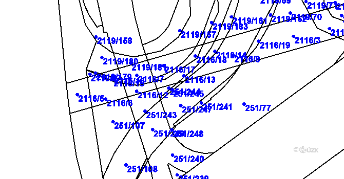 Parcela st. 251/245 v KÚ Chodov, Katastrální mapa
