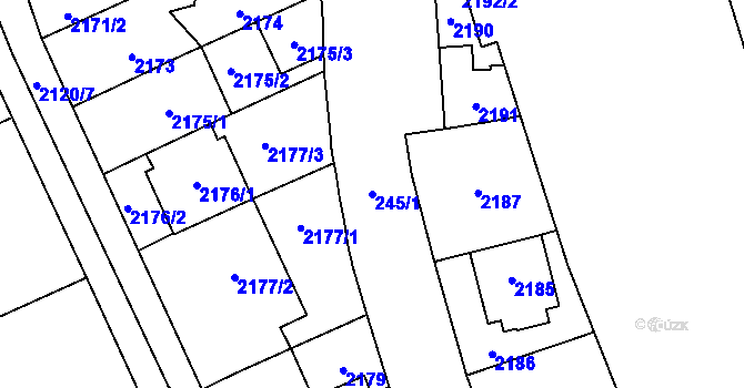 Parcela st. 245/1 v KÚ Chodov, Katastrální mapa