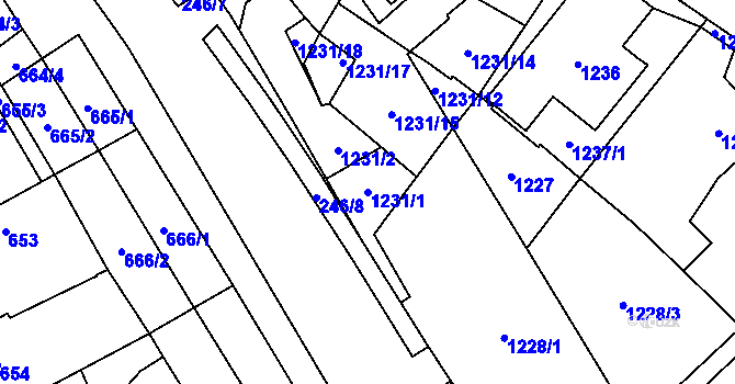 Parcela st. 1231/1 v KÚ Chodov, Katastrální mapa