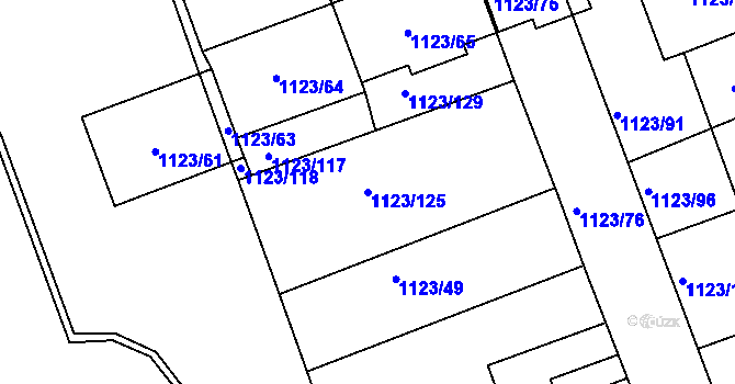 Parcela st. 1123/125 v KÚ Libuš, Katastrální mapa