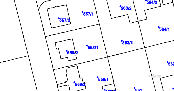 Parcela st. 558/1 v KÚ Kamýk, Katastrální mapa