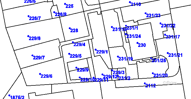 Parcela st. 229/1 v KÚ Košíře, Katastrální mapa