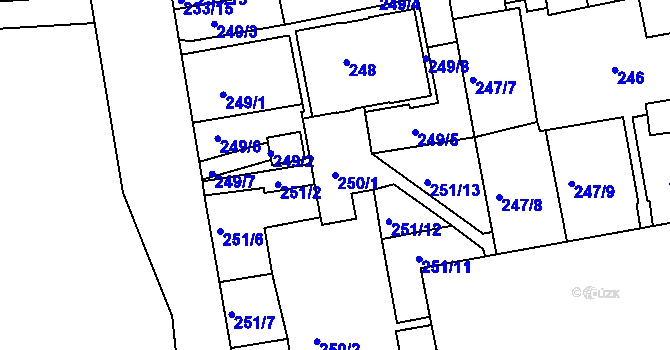 Parcela st. 250/1 v KÚ Košíře, Katastrální mapa