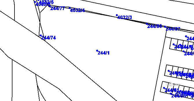 Parcela st. 244/1 v KÚ Dejvice, Katastrální mapa