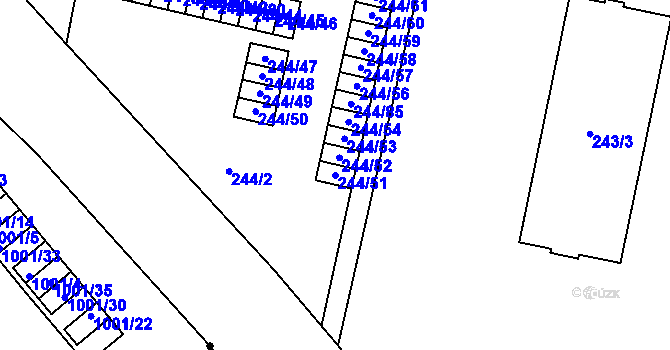 Parcela st. 244/51 v KÚ Dejvice, Katastrální mapa