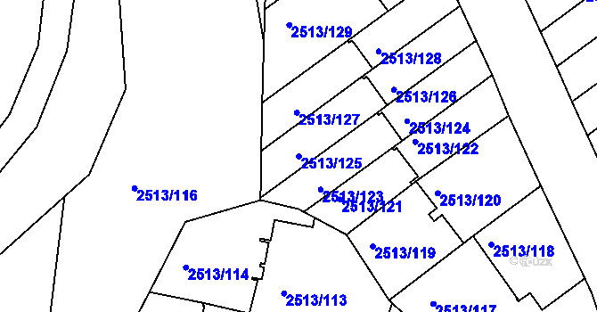 Parcela st. 2513/125 v KÚ Dejvice, Katastrální mapa